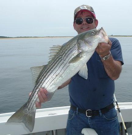 Striped Bass Fishing on the Shoals of Cape Cod
